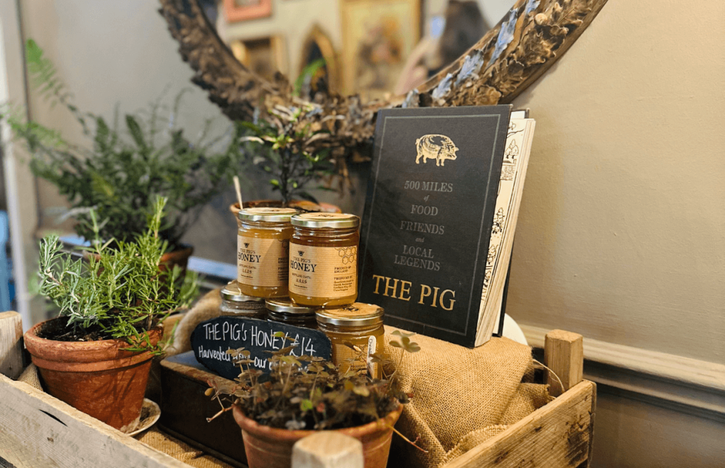 Pots of honey and rosemary plants in a display
